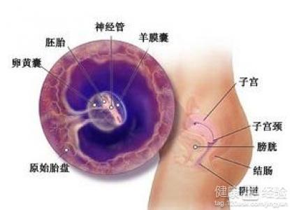 5个月胎儿多重五个月胎儿多重，孕期体重变化与胎儿发育解析