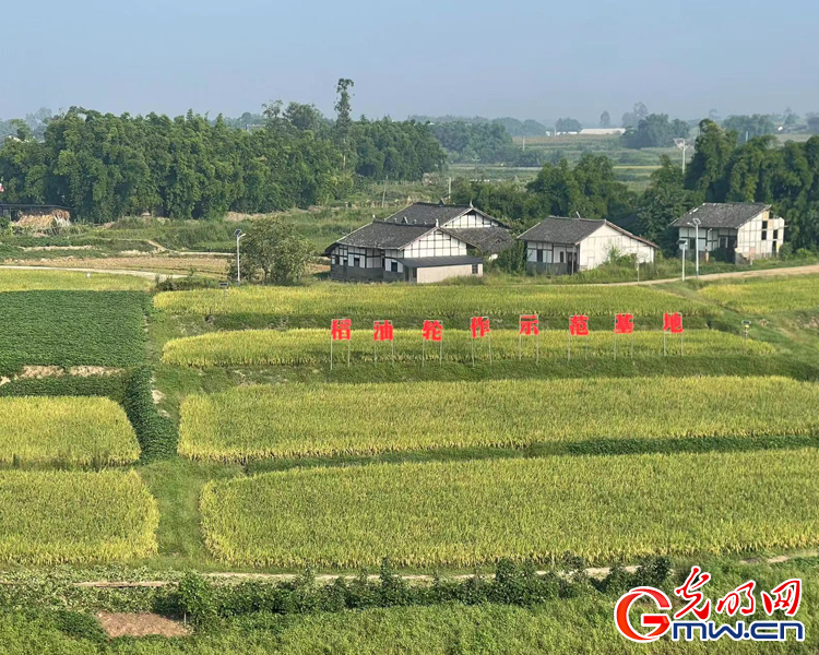 广东省莱篮子工程广东省莱篮子工程，打造现代农业新标杆